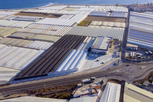 Las nuevas instalaciones de Semillero Saliplant aumentarán la capacidad de injertado en un 50%