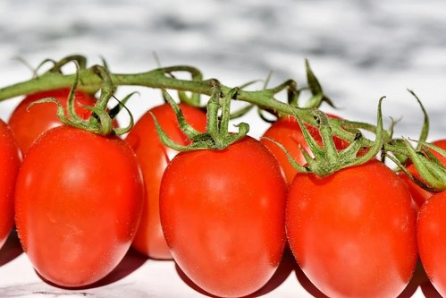 El tomate, el único que mantiene el pulso con los bajos precios en la semana 26 del año