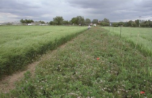 Al 72% de los agricultores les preocupa el impacto que tendrá el cambio climático en su capacidad para producir alimentos