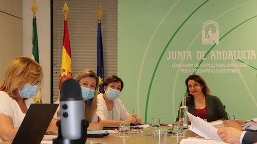 Crespo urge a la aplicación del nuevo artículo 167 bis de la OCM desde el inicio de la campaña como mecanismo de regulación del aceite