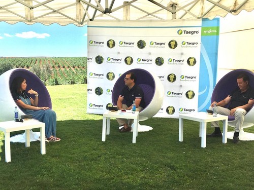 Syngenta presenta Taegro, el nuevo biofungicida para el control preventivo de oídio y botritis en viña y uva de mesa