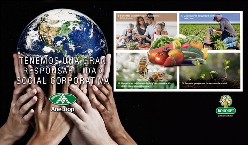 Anecoop: El valor de la sostenibilidad  en el mundo cooperativo