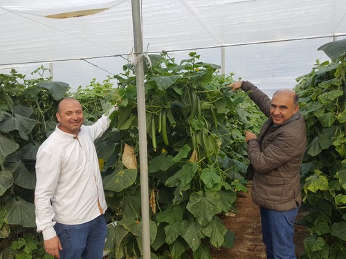 “Nunca he conocido un pepino  que dé tantos kilos como SQisito”
