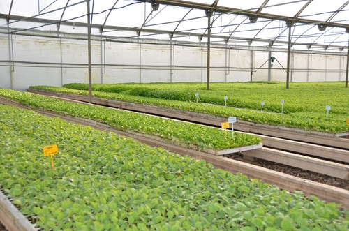 La Comunidad publica una guía con medidas para prevenir la Covid-19 en explotaciones agrarias e industrias agroalimentarias