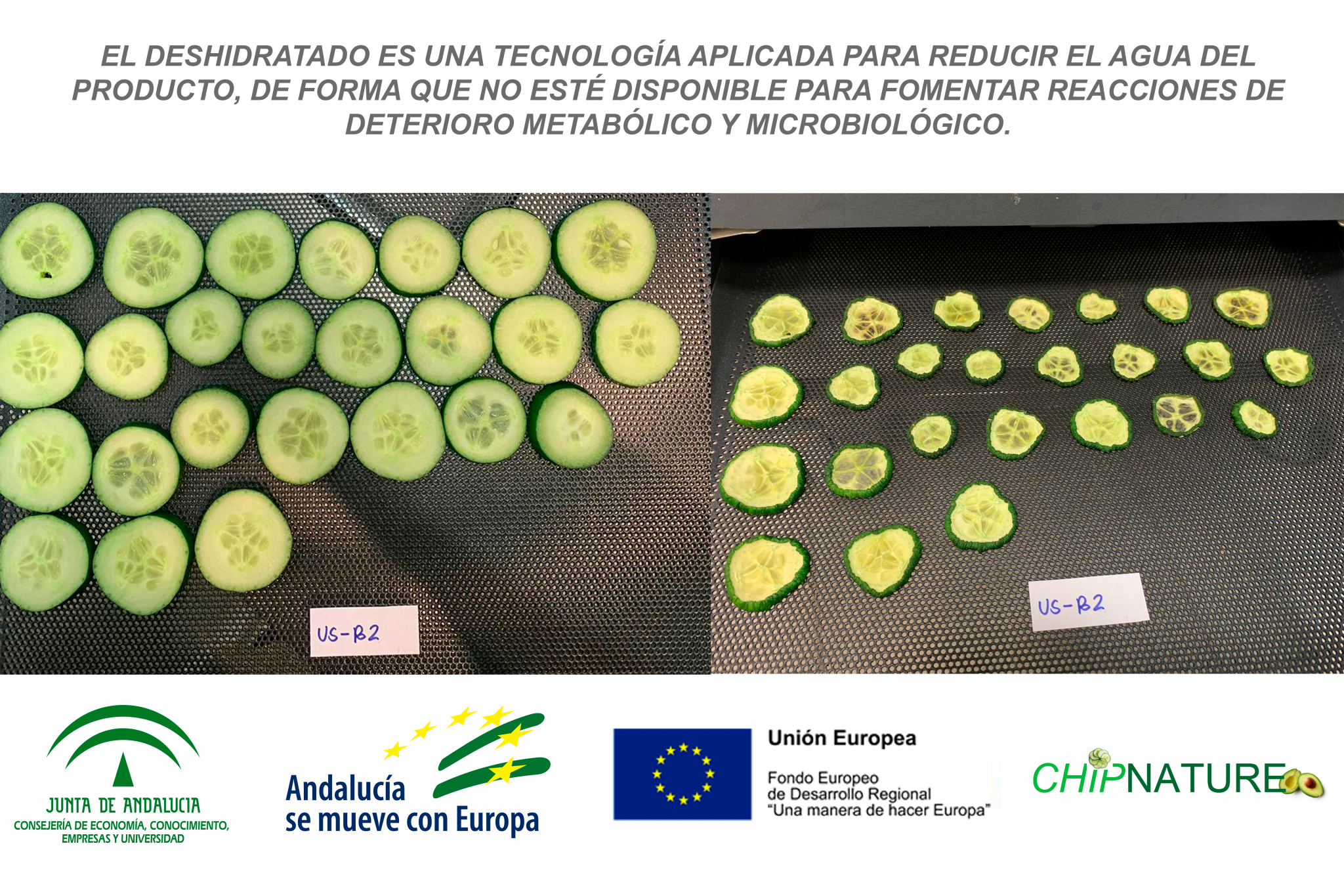 Tecnova desarrolla snacks saludables con excedentes de frutas y verduras