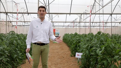 “Azadiractin, 25 años de historia de una materia activa que protege a los cultivos hortícolas de las plagas de hoy”