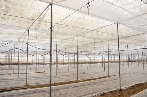DC Solterm y DC Cristal, los plásticos doble cámara con garantía de luz y efecto térmico