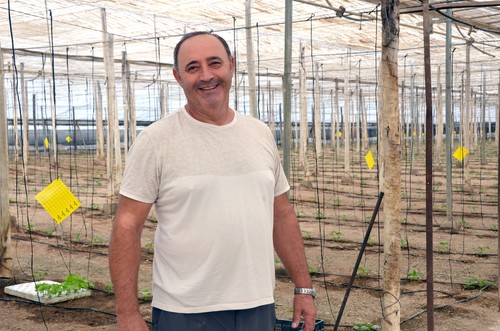 “De Sedal F1* me gusta la calidad en el fruto y la fuerza de la mata, junto a la alta producción”