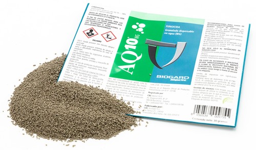 AQ 10 WG, fungicida microbiológico de Biogard para el control de oídio exento de LMR y sin plazo de seguridad