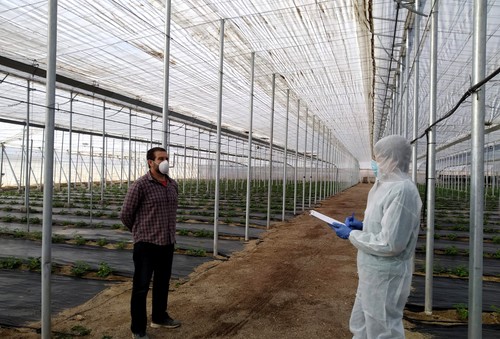 Agrocolor conecta con sus clientes en Fruit Attraction LiveConnect