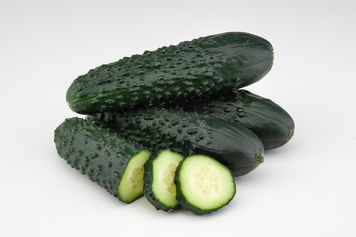 BASF Vegetable Seeds cierra el ciclo de pepino español tras la consolidación de Olano F1 y Ocana F1 en los mercados