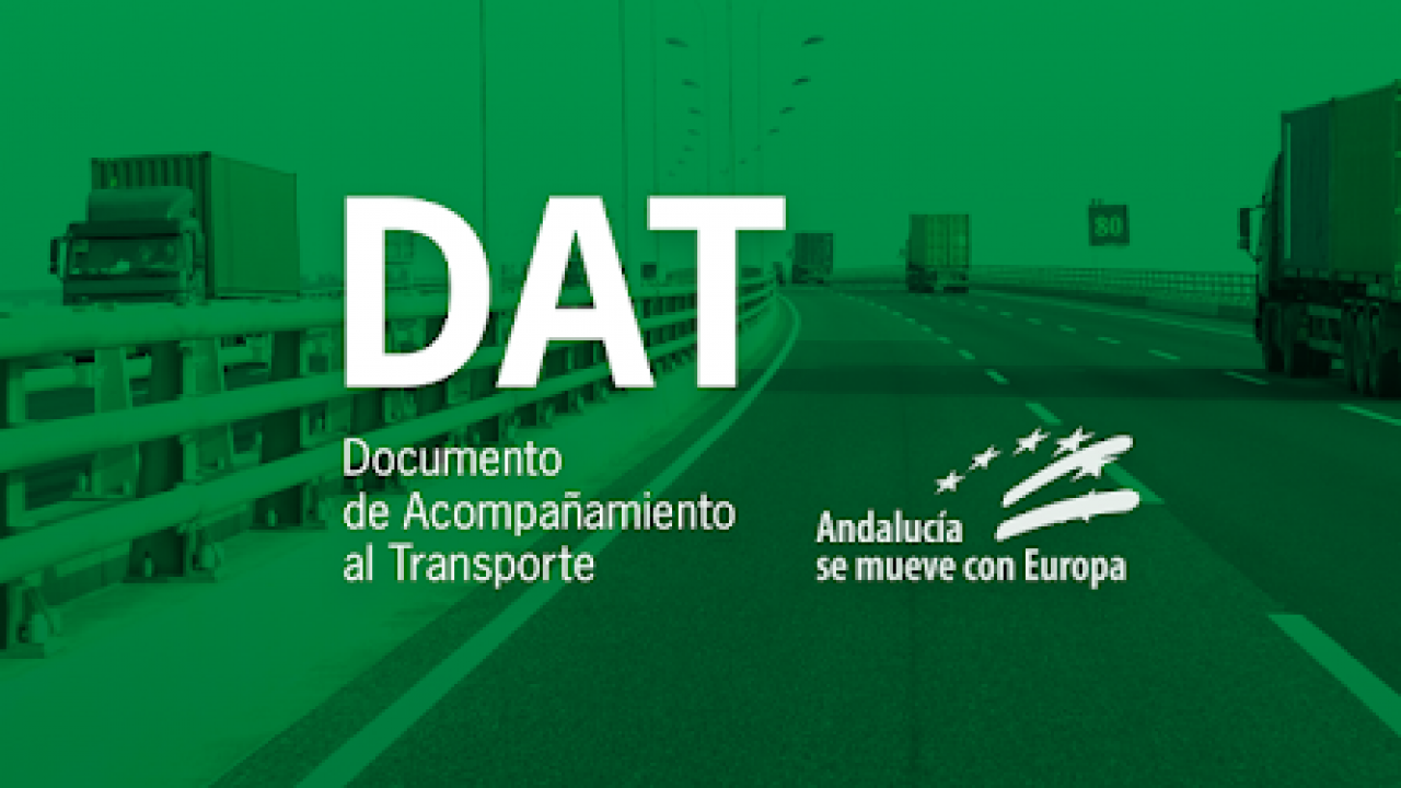 El Documento de Acompañamiento al Transporte (DAT): ¿Un problema o una solución