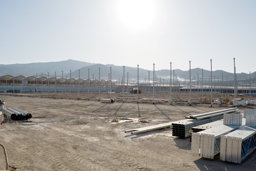Semillero Saliplant amplía  sus instalaciones de ecológico
