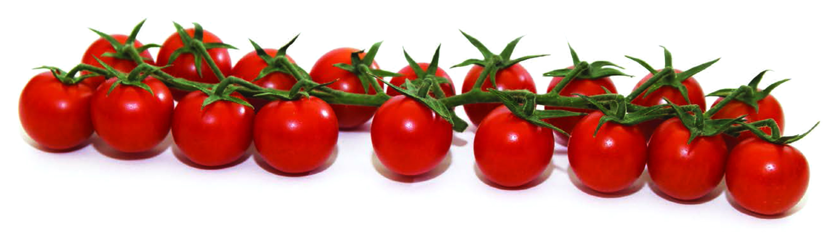 Bio CampoNíjar, la marca de Coprohníjar que ofrece producto natural a más de medio centenar de mercados