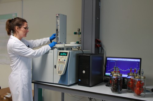 TECNOVA presenta en patronado un año marcado por la proyección internacional y el desarrollo de proyectos propios