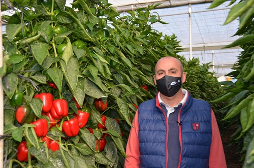 “Nyobi cuaja muy bien con blanqueo, con frutos de calibre G-GG de excelente color”