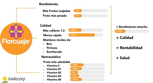 El uso de Florcuaje® produce melones más saludables
