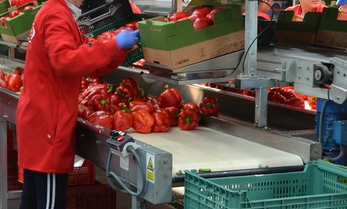 COEXPHAL ha calificado la huelga del sector del manipulado de “fracaso estrepitoso”