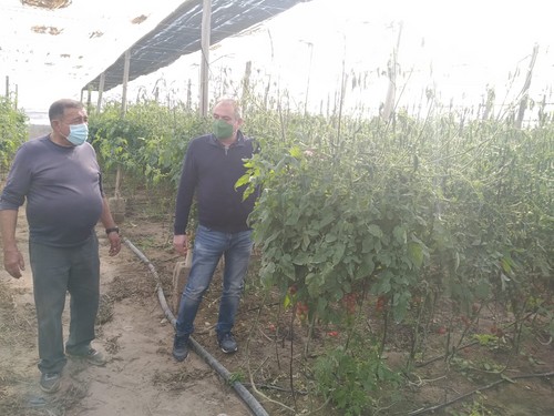 ASAJA calcula que las heladas han ocasionado daños en más de 100 hectáreas en el Campo de Níjar