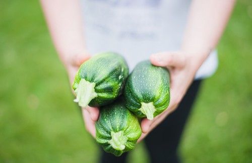 Las hortalizas almerienses registran una subida de precios generalizada destacando el calabacín y la berenjena