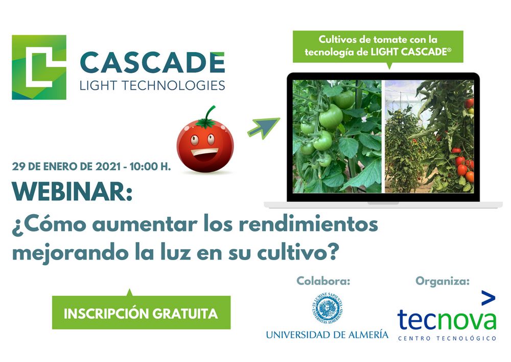 Mejora los rendimientos de tus cultivos de tomates con la tecnología Light Cascade®
