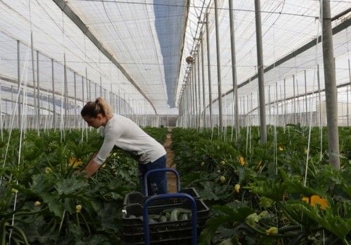 Unión de Asociaciones Libre sigue adelante con su paro nacional para el 24 de febrero