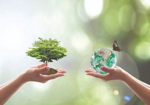 Avanzando por la senda correcta hacia un mundo cada día más sostenible