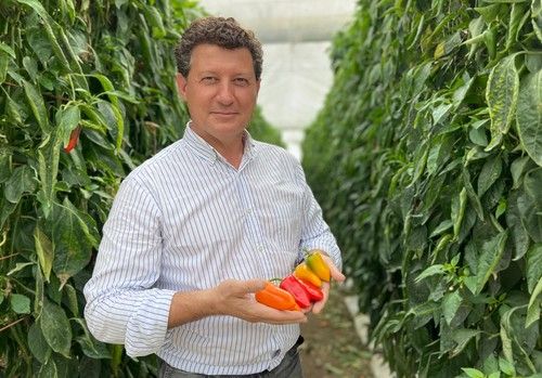 Rijk Zwaan amplía su oferta de pimientos con los nuevos minis en rojo y amarillo