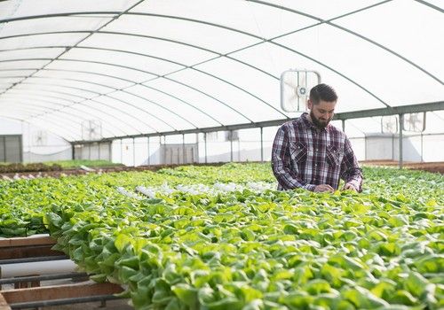 BASF refuerza la inversión en innovaciones para una agricultura sostenible