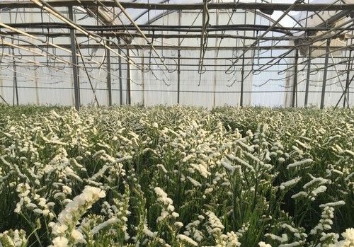 ASAJA estima que aprobar una rebaja fiscal para el sector supondría a los agricultores un ahorro de más de 100 millones de euros