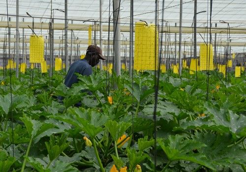 ASAJA destaca el descenso del 9% en la siniestralidad en el sector agrario durante 2020