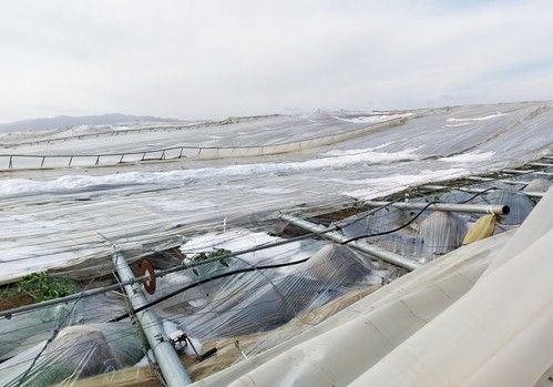 ASAJA critica que Hacienda ignora a Almería en su 'rebaja fiscal'