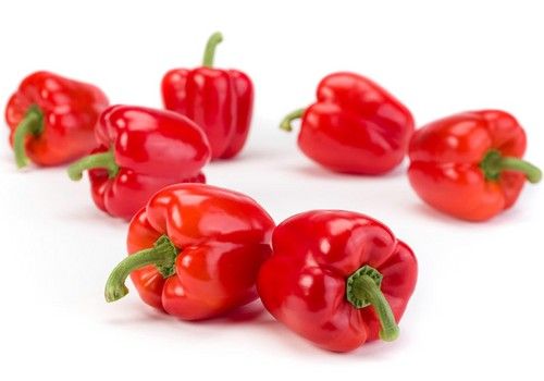 Pimiento temprano RZ, la garantía para un agricultor de éxito