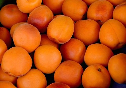 Albaricoque, melocotón y nectarina adaptan su potencial productivo a las demandas de los consumidores