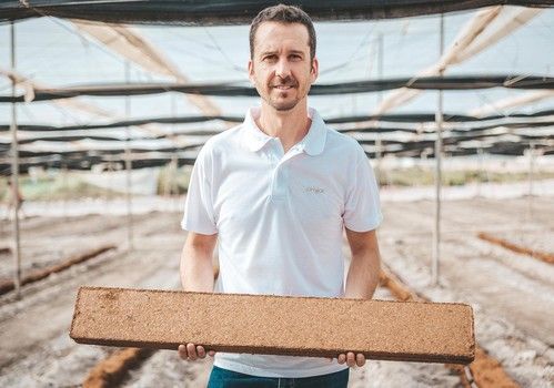 Por qué las plantas prefieren la fibra de coco y los productores también