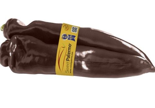 Sweet Palermo chocolate, el pimiento que va a revolucionar la cocina