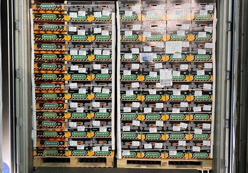 Anecoop abre vía comercial con Perú al enviar el primer contenedor de naranjas desde España