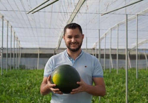 Zeraim presenta Jamaica, su nueva sandía sugar baby sin semillas