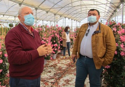 El Ejido elabora un informe que evalúa el impacto económico del COVID-19 en el sector de la planta ornamental y flor cortada del municipio