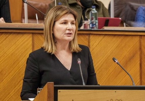 El PP insta al Gobierno de España a rectificar la rebaja fiscal de módulos que afecta a más de 53.000 agricultores almerienses