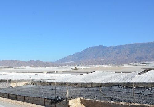 COAG Almería reclama una respuesta inmediata del Ministerio a la corrección de errores para la Renta 2020