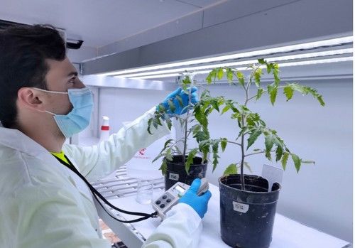 Suelos agrícolas de Almería: ¿Morir de éxito?