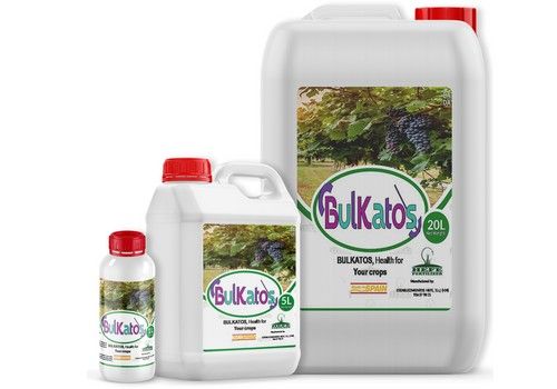 El control sostenible de Mildiu en viñedos es posible gracias al biofertilizante de Hefe Fertilizer, Bulkatos