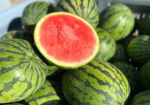 Sandissima, el sabor más especial en formato mini