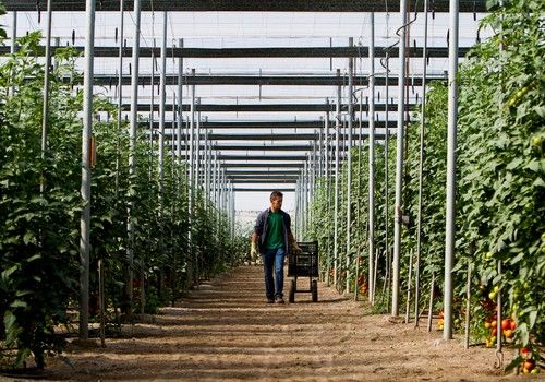 HORTIESPAÑA pide al Ministerio de Agricultura una mayor defensa de las frutas y hortalizas españolas