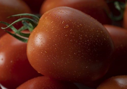 La consejera de Agricultura pide la revisión de los acuerdos comerciales entre Europa y terceros países