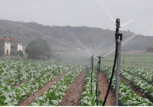 FENACORE pide al Ministerio para Transición Ecológica que asuma inversiones en modernización de regadíos y no las delegue