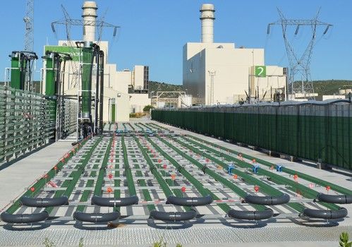 Caixa Capital Risc entra en el capital de AlgaEnergy,  líder en innovación en el uso de microalgas