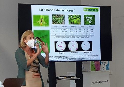 Bioline Academy retoma su actividad con una master class sobre sírfidos