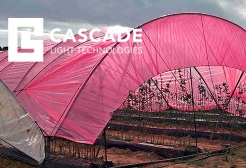 ¿Cómo optimizar la calidad de la luz solar en los invernaderos para mejorar los rendimientos de los cultivos de hortalizas y frutos rojos?